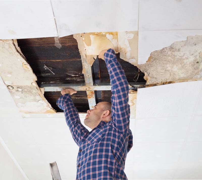 Reliable Water Damage Restoration Mobile AL Emergency Water Response Team Reliable Water Damage Restoration Mobile AL Emergency Water Response Team