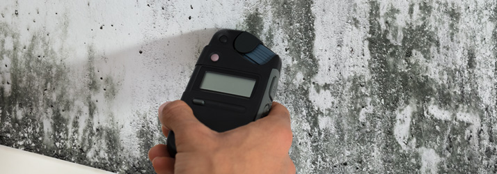 Mold Inspectors Biloxi MS Mold Testing